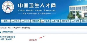 中国卫生人才网查分，轻松掌握你的考试成果，实现职业梦想！